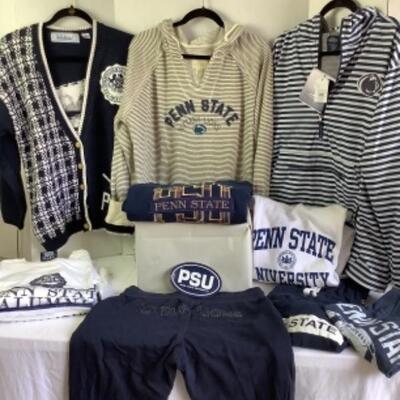 G - 842 Penn State Pride Lot 