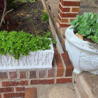 P1: Cement Planters with Succulents. 