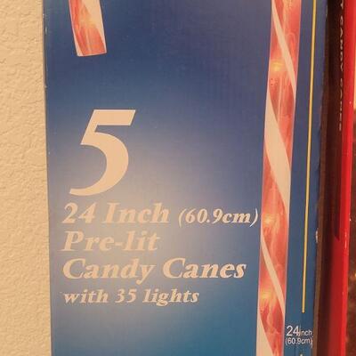 Lot 48: Indoor/Outdoor Pre-Lit Candy Canes