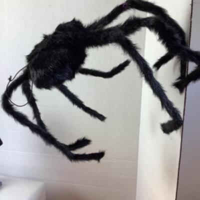 G - 853. Wacky Witch Lot 