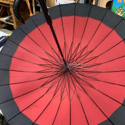 #187 Beautiful Umbrella