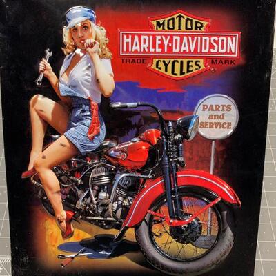 #208 Harley Davidson Decor