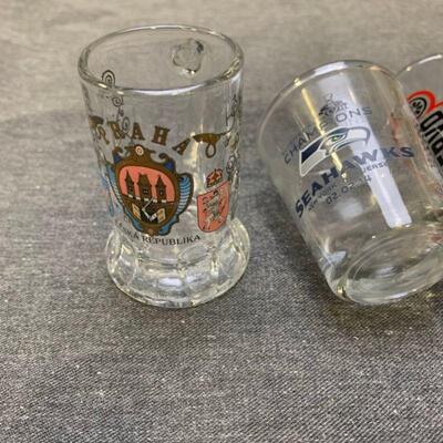 #242 Collectible Shot Glasses