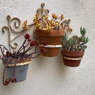 Wall art, garden art, rustic wrought iron with potted plants