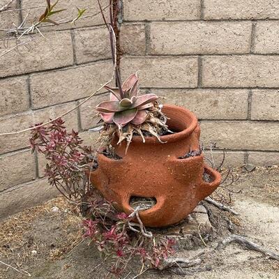 Strawberry pot with plants, terra-cotta