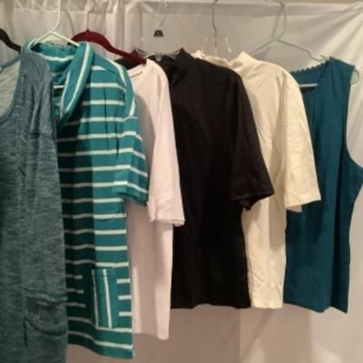 S - 1003 Ladies Clothing Lot. Talbots Size XL ( many new with tags ) 