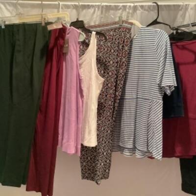 S - 1009 Ladies Clothing Lot J. Jill Size Large 