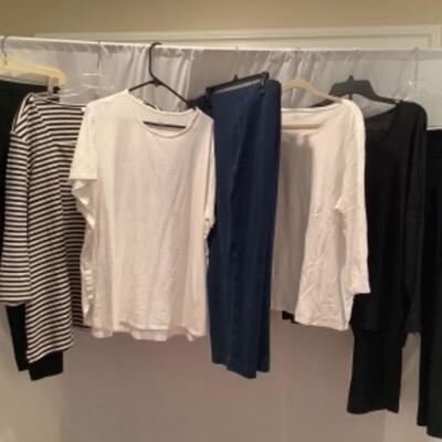 S - 1016 Ladies Clothing Lot  J. Jill & Eileen Fisher Size  3 X 