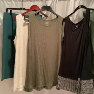 S - 1019 Ladies Clothing Lot Lori Goldstein Size Large 