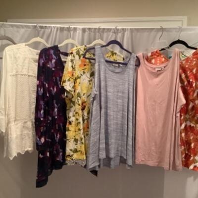 S - 1021 Ladies Clothing Lot Lori Goldstein Size 2 X 