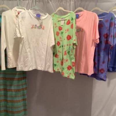 S - 1024 Ladies Clothing Lot Fresh Produce   Size XL 