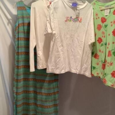 S - 1024 Ladies Clothing Lot Fresh Produce   Size XL 
