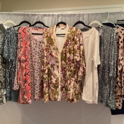 S. - 1025  Ladies Clothing Lot Lori Goldstein Size 3X ( some new with tag ) 