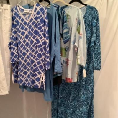 S - 1030 Ladies Clothing Lot Miscellaneous Brands Size 1 X