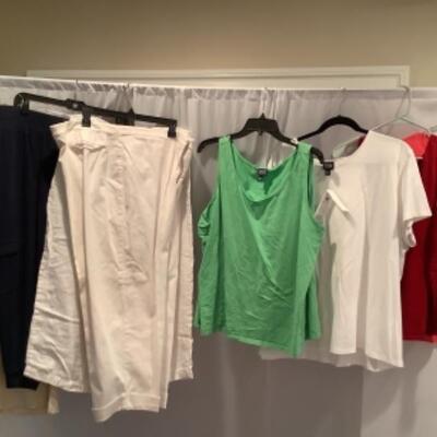 S - 1033 Ladies Clothing Lot Eileen Fisher & Miscellaneous Pants Size 2 X( New with tag ) 