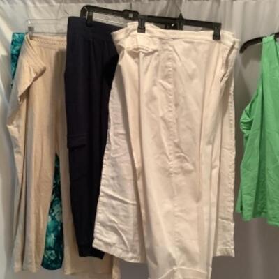 S - 1033 Ladies Clothing Lot Eileen Fisher & Miscellaneous Pants Size 2 X( New with tag ) 