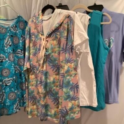 S - 1035 Ladies Clothing Lot  Miscellaneous tops Size 2 X 