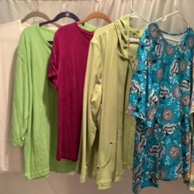 S - 1035 Ladies Clothing Lot  Miscellaneous tops Size 2 X 