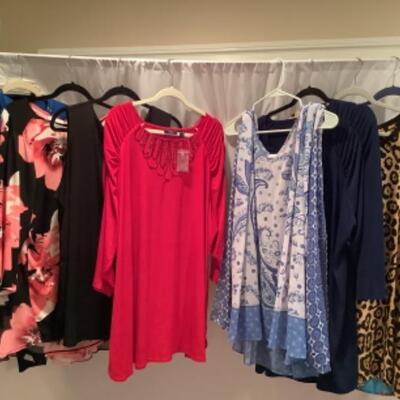 S - 1037 Ladies Clothing Lot Susan graver Size 3X