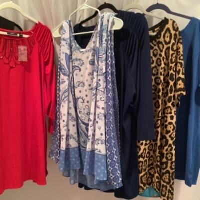 S - 1037 Ladies Clothing Lot Susan graver Size 3X