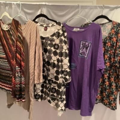 S - 1044 Ladies Clothing Lot Miscellaneous Size Large 
