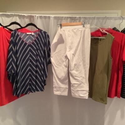 S - 1046 Ladies Clothing Lot Susan Graver Size large 