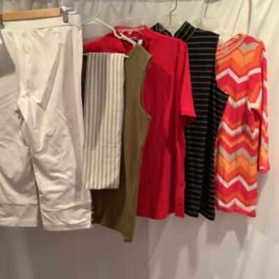 S - 1046 Ladies Clothing Lot Susan Graver Size large 