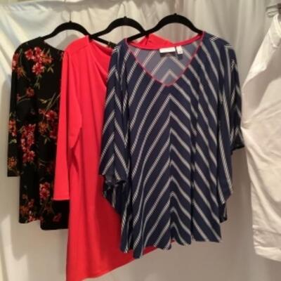 S - 1046 Ladies Clothing Lot Susan Graver Size large 