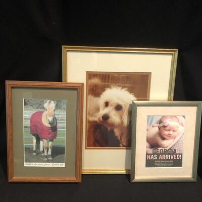 Lot 187 - 20 Frames & Artwork 