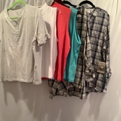 S - 1048 Ladies Clothing Lot Appleseed& Habitat & Miscellaneous Size XL