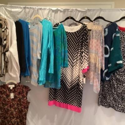 S - 1054 Ladies Clothing Lot Miscellaneous Size XL 16/18