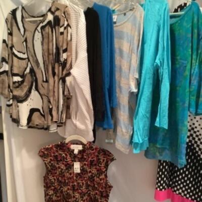 S - 1054 Ladies Clothing Lot Miscellaneous Size XL 16/18