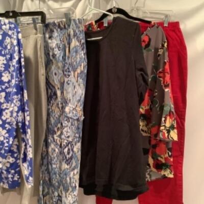 S - 1055 Ladies Clothing Lot  Denim & Co Size Large 