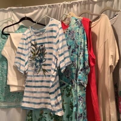 S - 1057 Ladies Clothing Lot D & Co. Size 3X , 4X Pants and Tops 
