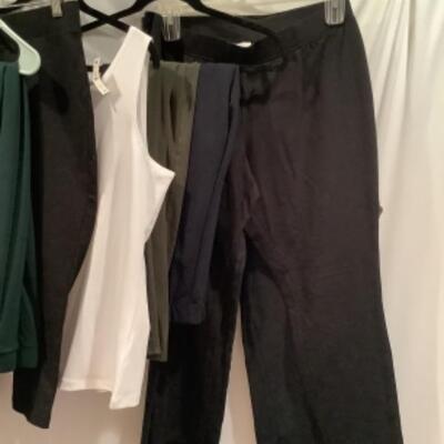S -1061 Ladies Clothing Lot  Susan Graver Size Xl & miscellaneous Pants Size Medium 