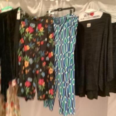 S - 1074 Ladies Clothing Lot Miscellaneous Brands Size 2X & 3X 