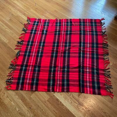 Lot 231 - Two Afghans & Troy Robe Throw