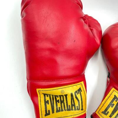 EVERLAST RED 12 OUNCE BOXING GLOVES