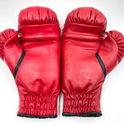 EVERLAST RED 12 OUNCE BOXING GLOVES