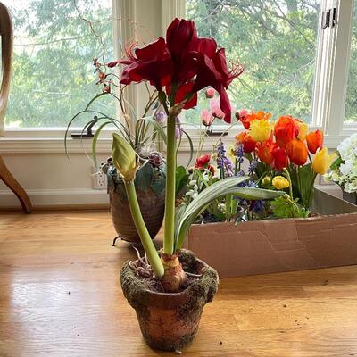 Lot 245 - Planters w/ Faux Floral 
