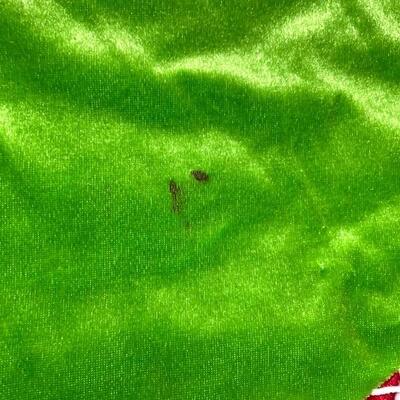 PIER 1 EMBELLISHED SANTA CHRISTMAS TREE SKIRT
