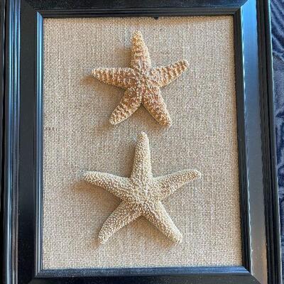 Lot 65 - Set of Framed Shells Wall Art