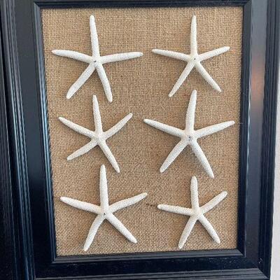 Lot 65 - Set of Framed Shells Wall Art