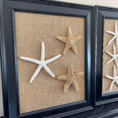 Lot 65 - Set of Framed Shells Wall Art