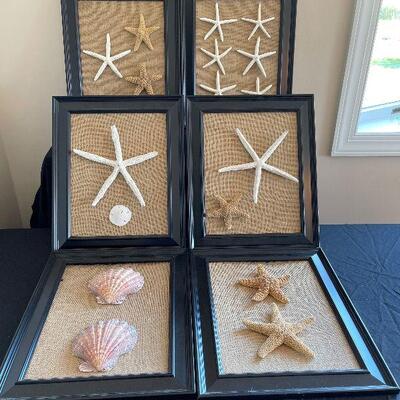 Lot 65 - Set of Framed Shells Wall Art