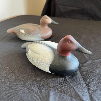 Lot 74 - Ducks