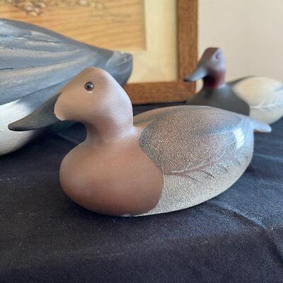 Lot 74 - Ducks