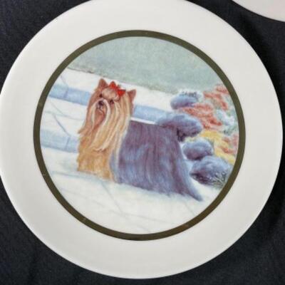 Set of 5 Yorkie Dog Collector Plates