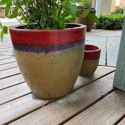 Matching Medium and Small Ceramic Pots with Plant