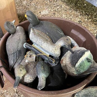 Lot 130 - Decoys